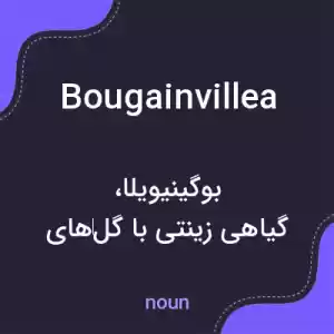 معنی bougainvillea به فارسی معنی bougainvillea به فارسی