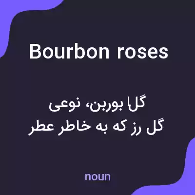 معنی bourbon roses به فارسی معنی bourbon roses به فارسی