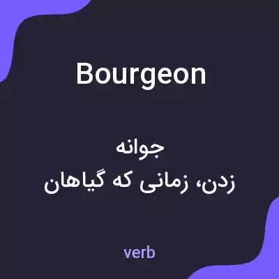 معنی bourgeon به فارسی معنی bourgeon به فارسی