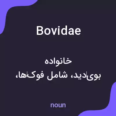 معنی bovidae به فارسی معنی bovidae به فارسی