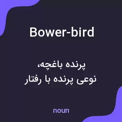 معنی bower-bird به فارسی معنی bower-bird به فارسی