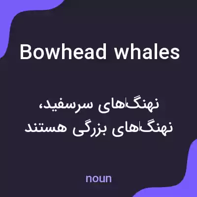 معنی bowhead whales به فارسی