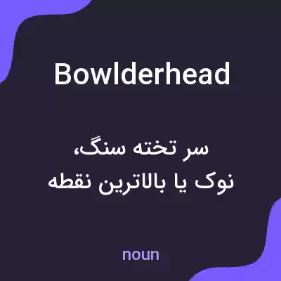 معنی bowlderhead به فارسی معنی bowlderhead به فارسی