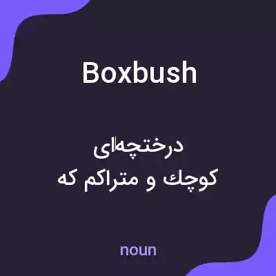 معنی boxbush به فارسی