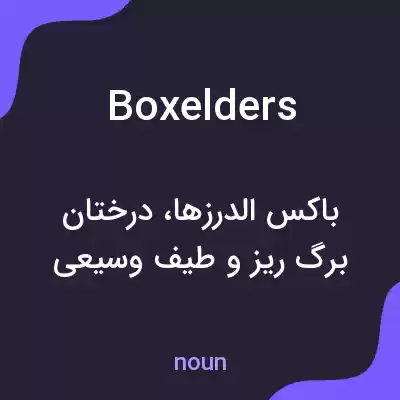 معنی box elders به فارسی معنی box elders به فارسی