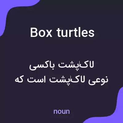 معنی box turtles به فارسی معنی box turtles به فارسی