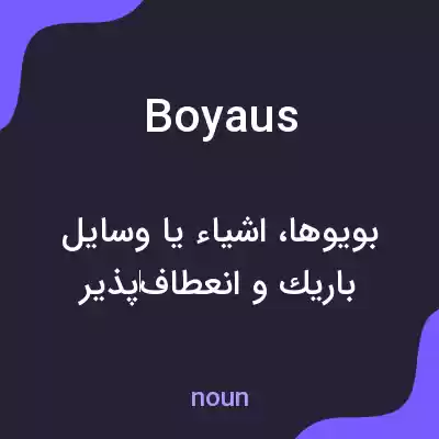 معنی boyaus به فارسی معنی boyaus به فارسی