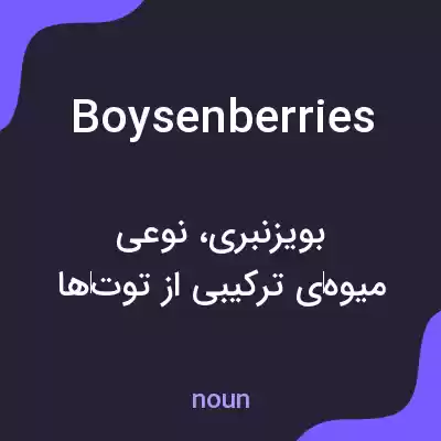 معنی boysenberries به فارسی معنی boysenberries به فارسی