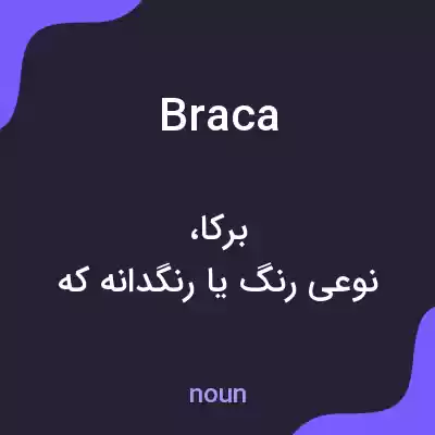معنی braca به فارسی معنی braca به فارسی