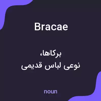 معنی bracae به فارسی معنی bracae به فارسی