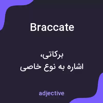 معنی braccate به فارسی معنی braccate به فارسی