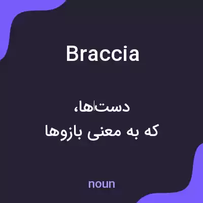 معنی braccia به فارسی