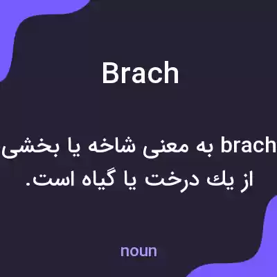 معنی brach به فارسی معنی brach به فارسی