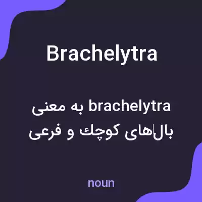 معنی brachelytra به فارسی