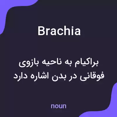 معنی brachia به فارسی معنی brachia به فارسی