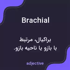 معنی brachial به فارسی معنی brachial به فارسی