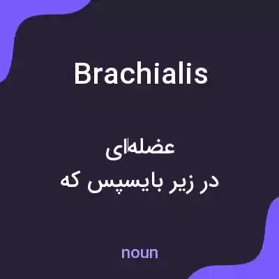 معنی brachialis به فارسی
