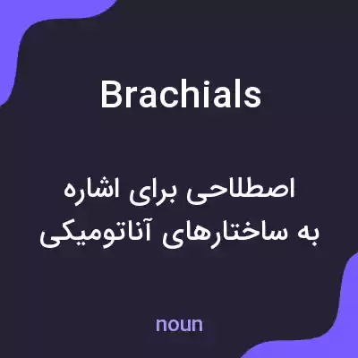 معنی brachials به فارسی معنی brachials به فارسی