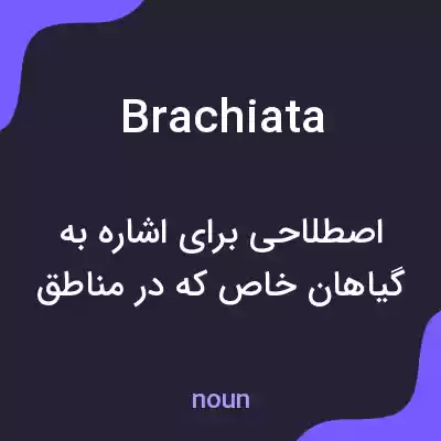 معنی brachiata به فارسی معنی brachiata به فارسی
