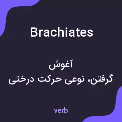 معنی brachiates به فارسی معنی brachiates به فارسی