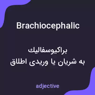 معنی brachiocephalic به فارسی معنی brachiocephalic به فارسی