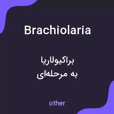 معنی brachiolaria به فارسی معنی brachiolaria به فارسی