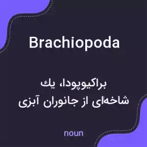 معنی brachiopoda به فارسی معنی brachiopoda به فارسی
