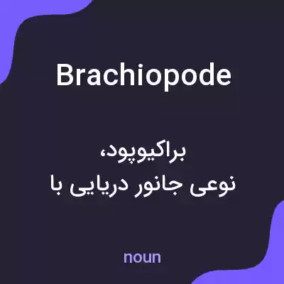 معنی brachiopode به فارسی معنی brachiopode به فارسی