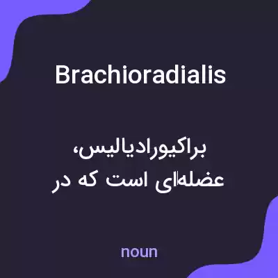 معنی brachioradialis به فارسی معنی brachioradialis به فارسی