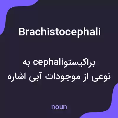 معنی brachistocephali به فارسی