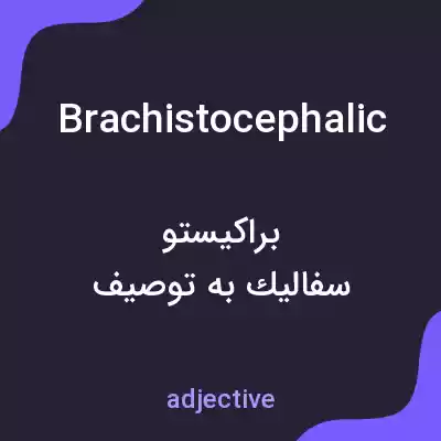 معنی brachistocephalic به فارسی معنی brachistocephalic به فارسی