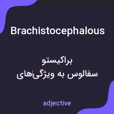 معنی brachistocephalous به فارسی معنی brachistocephalous به فارسی