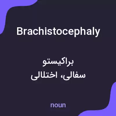 معنی brachistocephaly به فارسی معنی brachistocephaly به فارسی