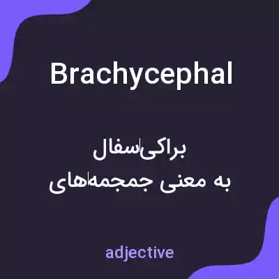 معنی brachycephal به فارسی معنی brachycephal به فارسی