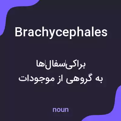 معنی brachycephales به فارسی معنی brachycephales به فارسی