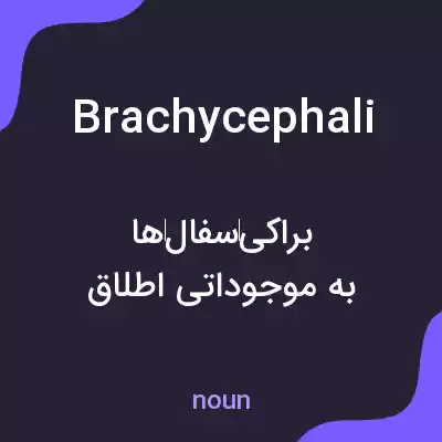 معنی brachycephali به فارسی