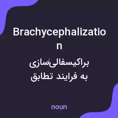 معنی brachycephalization به فارسی معنی brachycephalization به فارسی