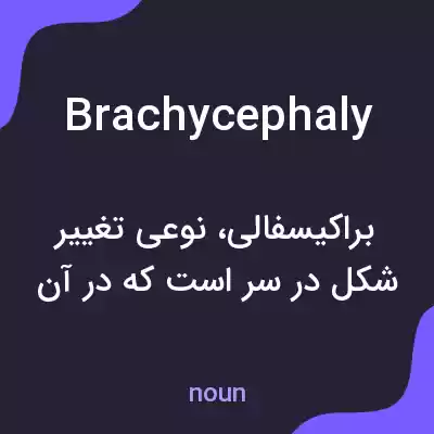 معنی brachycephaly به فارسی معنی brachycephaly به فارسی