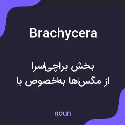 معنی brachycera به فارسی معنی brachycera به فارسی