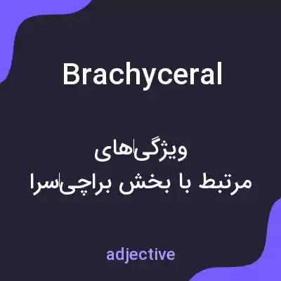 معنی brachyceral به فارسی معنی brachyceral به فارسی