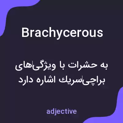 معنی brachycerous به فارسی معنی brachycerous به فارسی
