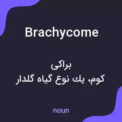معنی brachycome به فارسی معنی brachycome به فارسی