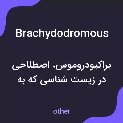معنی brachydodromous به فارسی معنی brachydodromous به فارسی