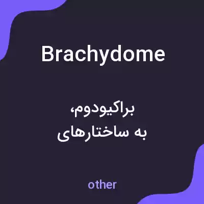 معنی brachydome به فارسی معنی brachydome به فارسی