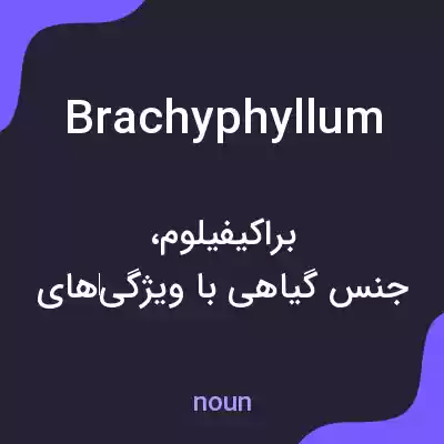معنی brachyphyllum به فارسی معنی brachyphyllum به فارسی