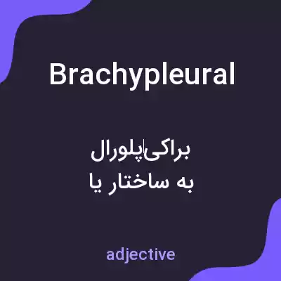 معنی brachypleural به فارسی معنی brachypleural به فارسی