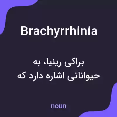 معنی brachyrrhinia به فارسی معنی brachyrrhinia به فارسی
