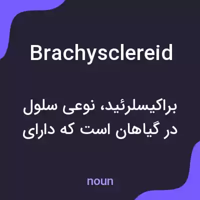 معنی brachysclereid به فارسی معنی brachysclereid به فارسی