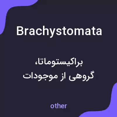 معنی brachystomata به فارسی