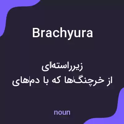 معنی brachyura به فارسی معنی brachyura به فارسی
